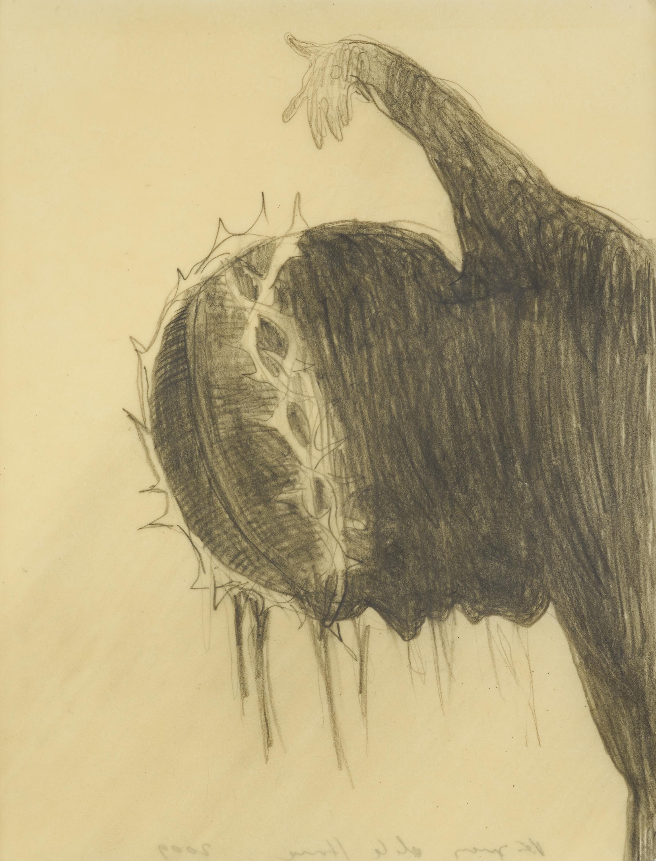 Sandra Vásquez de la Horra - Cristo