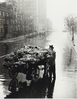 Sandra Weiner - Untitled (Flower Seller), 1948