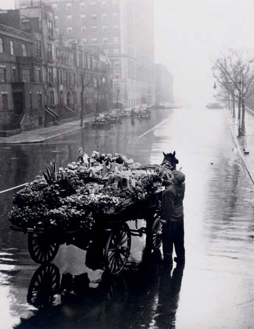 Sandra Weiner - Untitled (Flower Seller), 1948