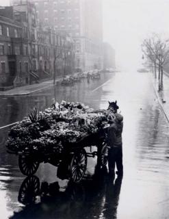 Sandra Weiner - Untitled (Flower Seller), 1948