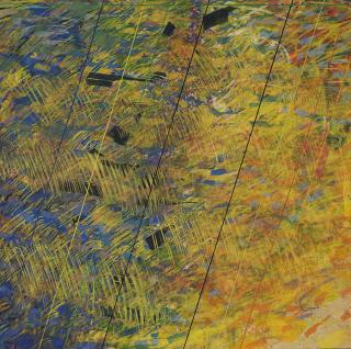 Sandro Martini - Pagina n. 43 - Il ladro nascosto