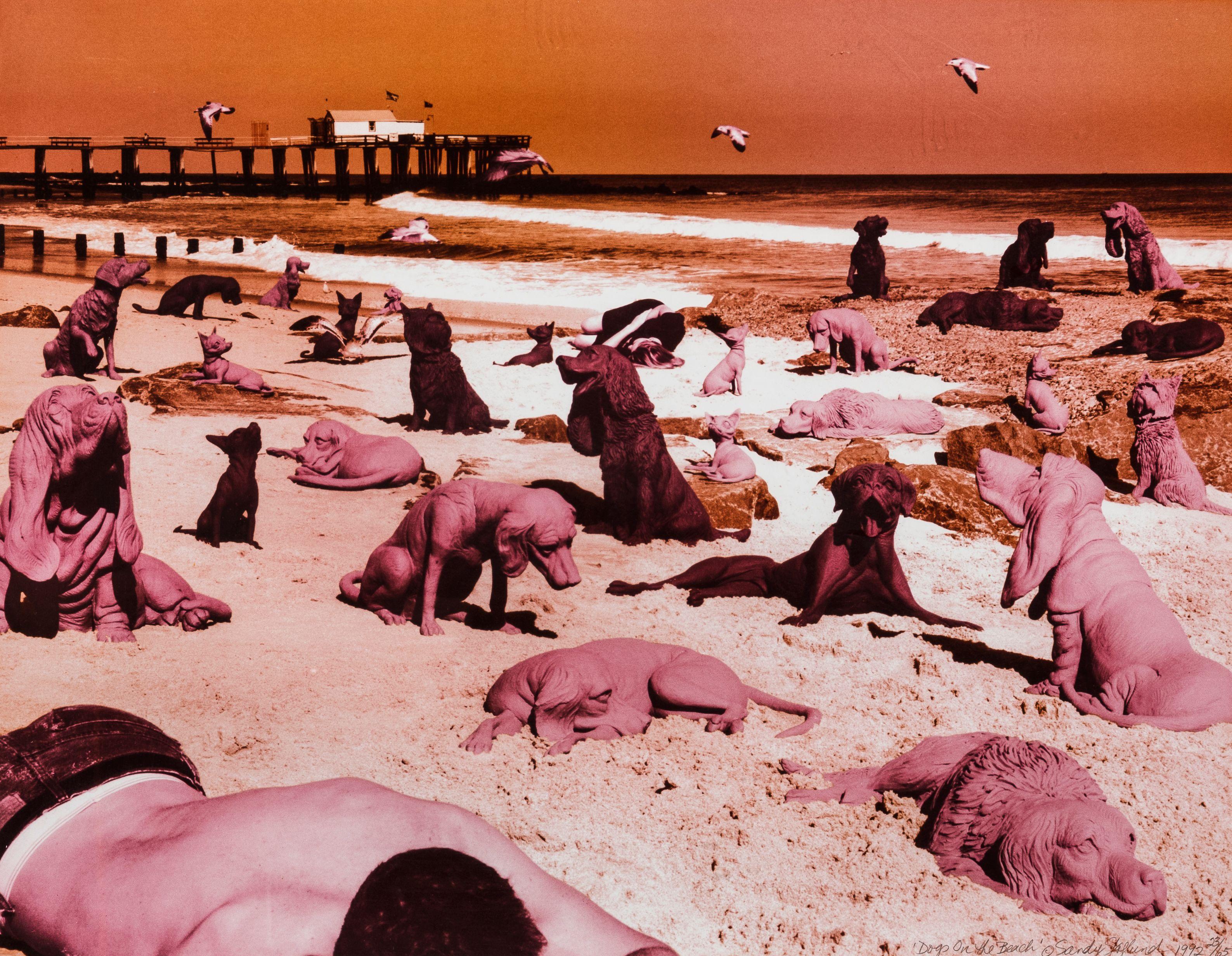 Sandy Skoglund - Dogs on the Beach