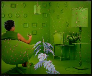 Sandy Skoglund - Germs Are Everywhere