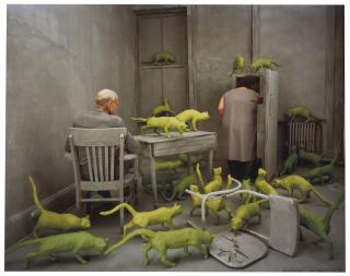 Sandy Skoglund - Radioactive Cats, 1980