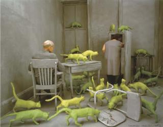 Sandy Skoglund - Radioactive Cats, 1980