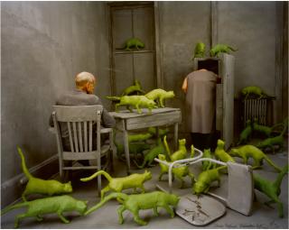 Sandy Skoglund - \'Radioactive Cats\'
