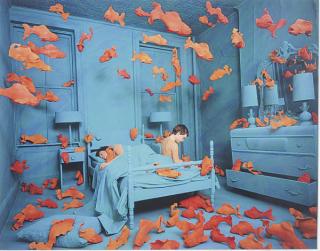 Sandy Skoglund - Revenge of the Goldfish, 1980-1981