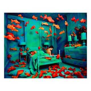 Sandy Skoglund - \'Revenge Of The Goldfish\'