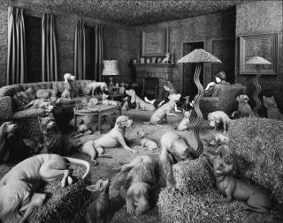 Sandy Skoglund - The Green House