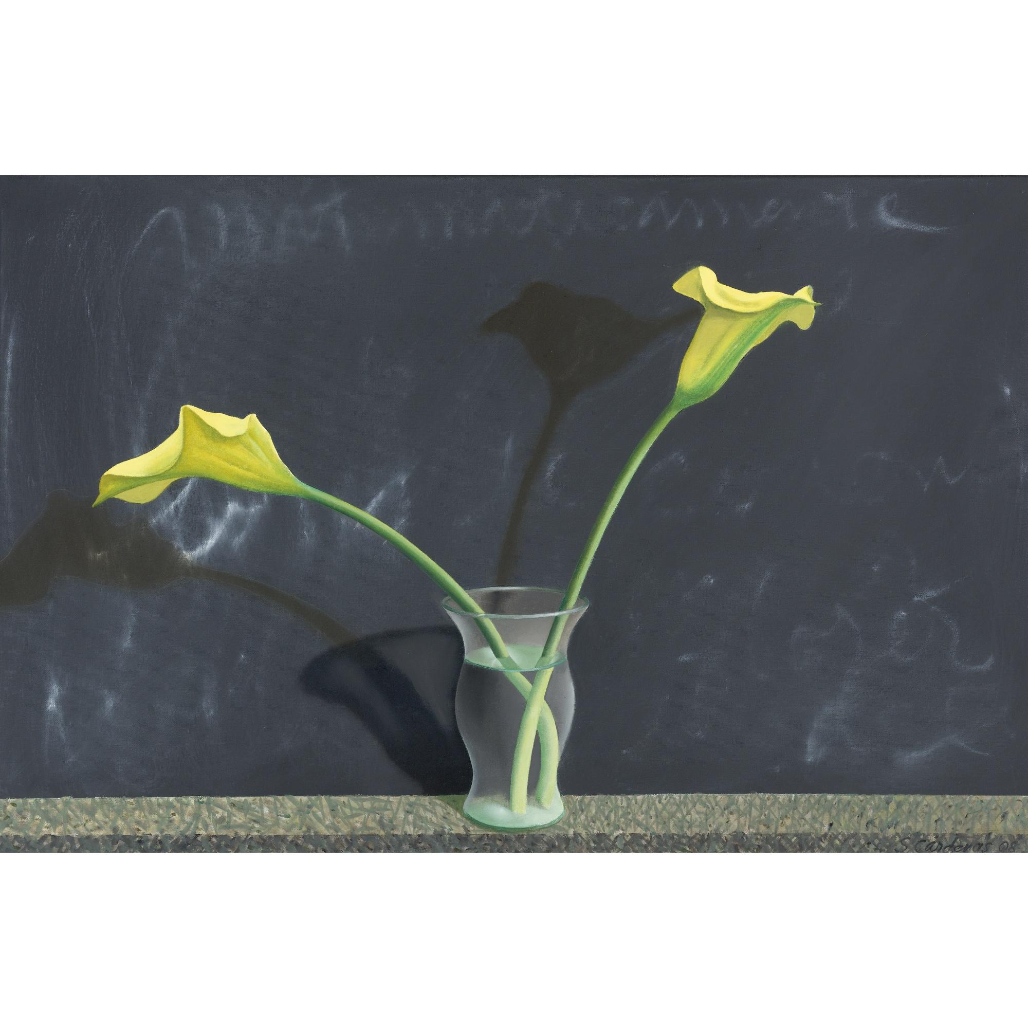 Santiago Cárdenas - Pizarra