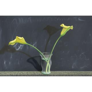 Santiago Cárdenas - Pizarra