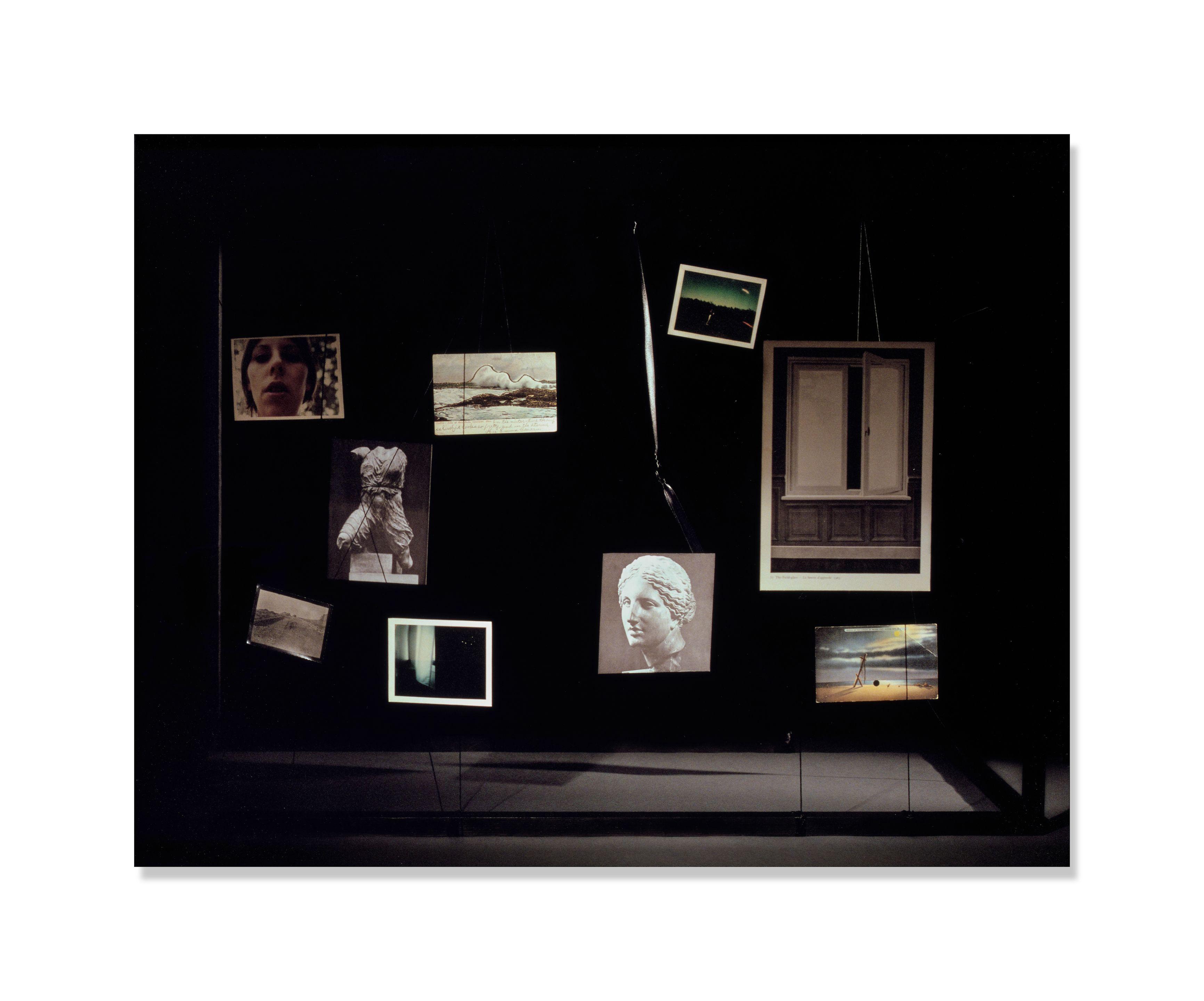 Sara Vanderbeek - The Field-Glass