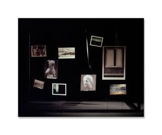 Sara Vanderbeek - The Field-Glass