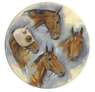 Sarah Aspinall - Falbrav, Head Studies - Newmarket