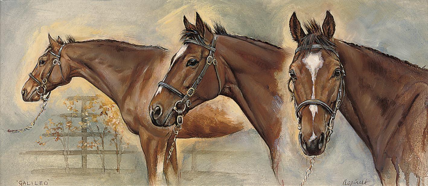 Sarah Aspinall - Gallileo, head studies