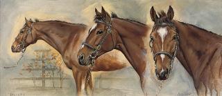 Sarah Aspinall - Gallileo, head studies