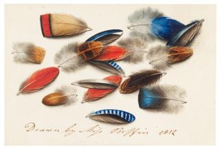 Sarah Biffin - Study of feathers
