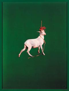 Sarah Charlesworth - Goat