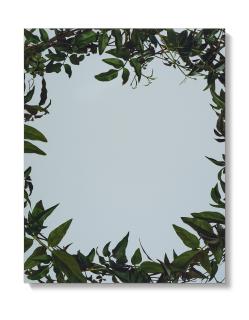 Sarah Charlesworth - Leaf Frame