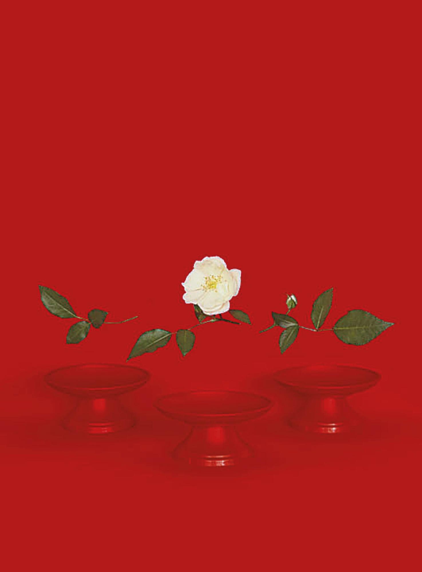 Sarah Charlesworth - Red Bowls