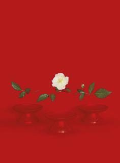 Sarah Charlesworth - Red Bowls