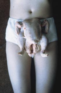 Sarah Lucas - Chicken Knickers