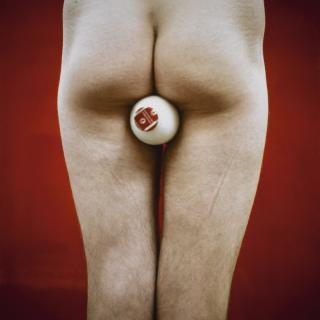 Sarah Lucas - Get Off Your Horse