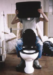 Sarah Lucas - Human Toilet I