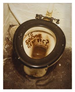 Sarah Lucas - Is Suicide Genetic?