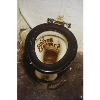 Sarah Lucas - Is Suicide Genetic?