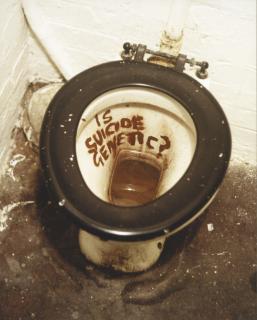 Sarah Lucas - Is Suicide Genetic?