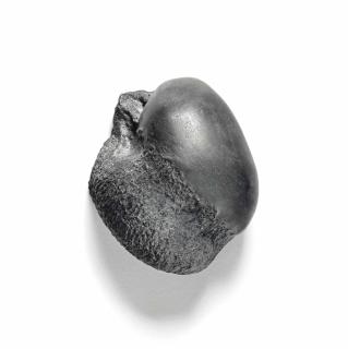 Sarah Lucas - Lionheart