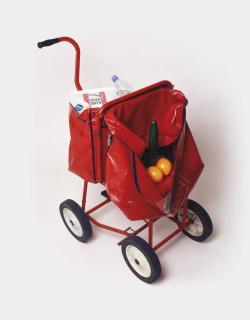 Sarah Lucas - Papa\'s got a Brand New Bag (Spike)