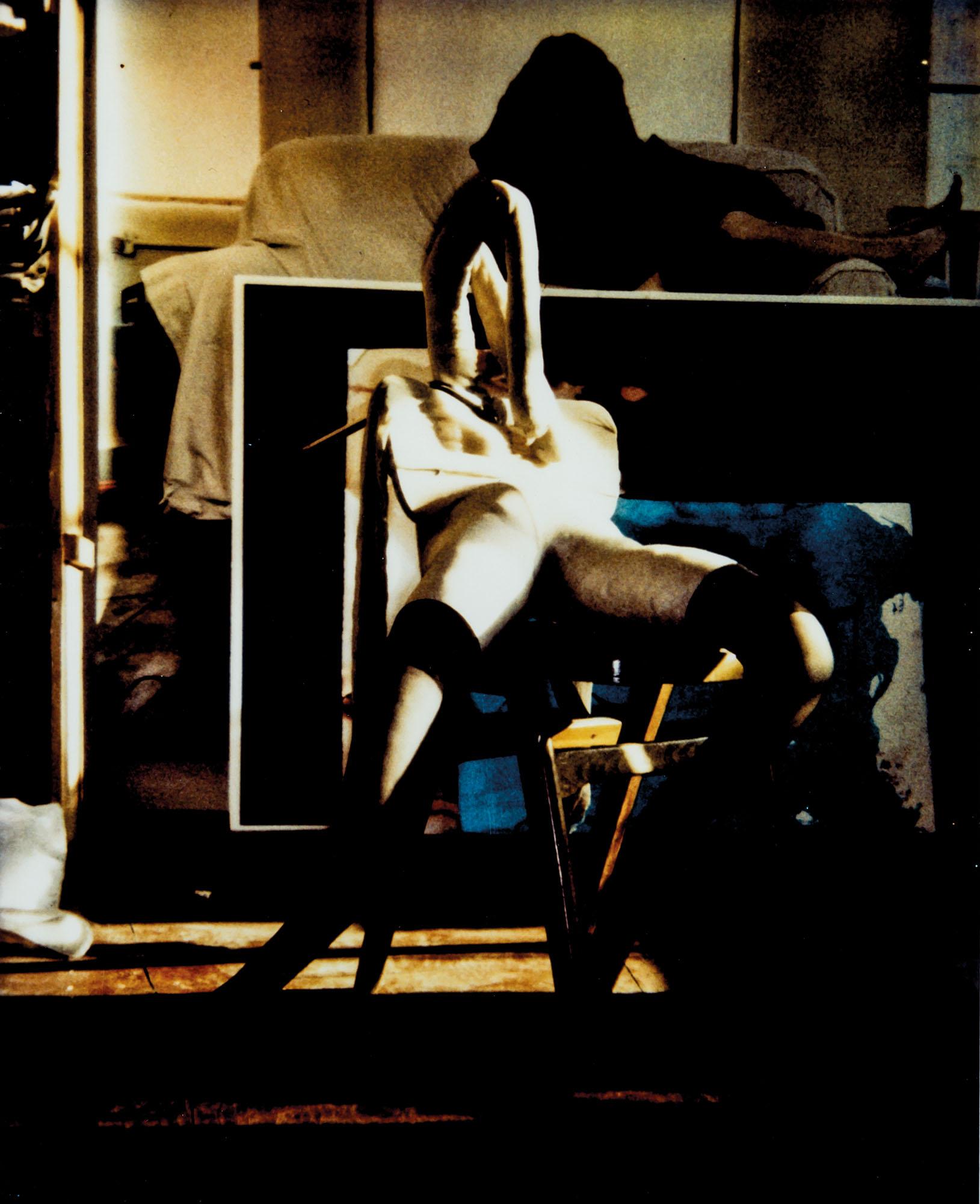 Sarah Lucas - Polaroid Bunny #2
