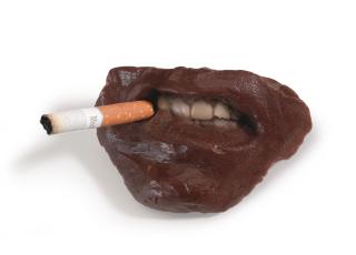 Sarah Lucas - Where Does It All End?