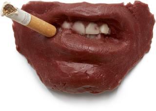 Sarah Lucas - Where Does It All End?