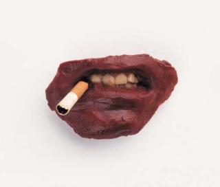 Sarah Lucas - Where Does It All End