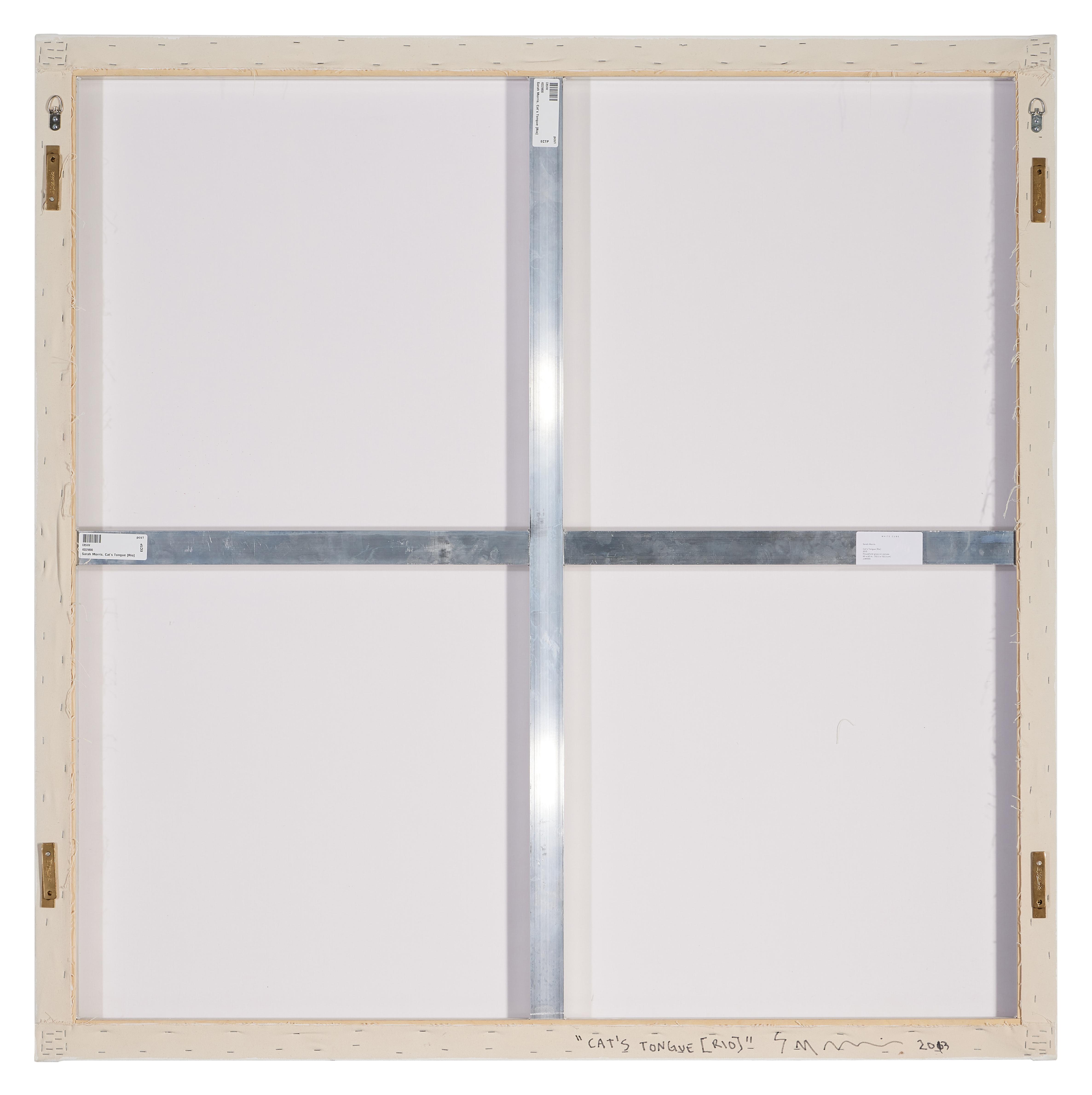 Sarah Morris - Cat\'s Tongue (Rio)