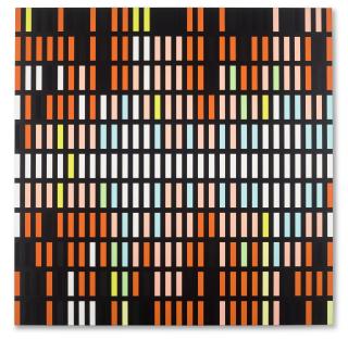 Sarah Morris - Deadly Paper Tiger I [Sound Graph]