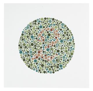 Sarah Sze - (Full Color), from 2