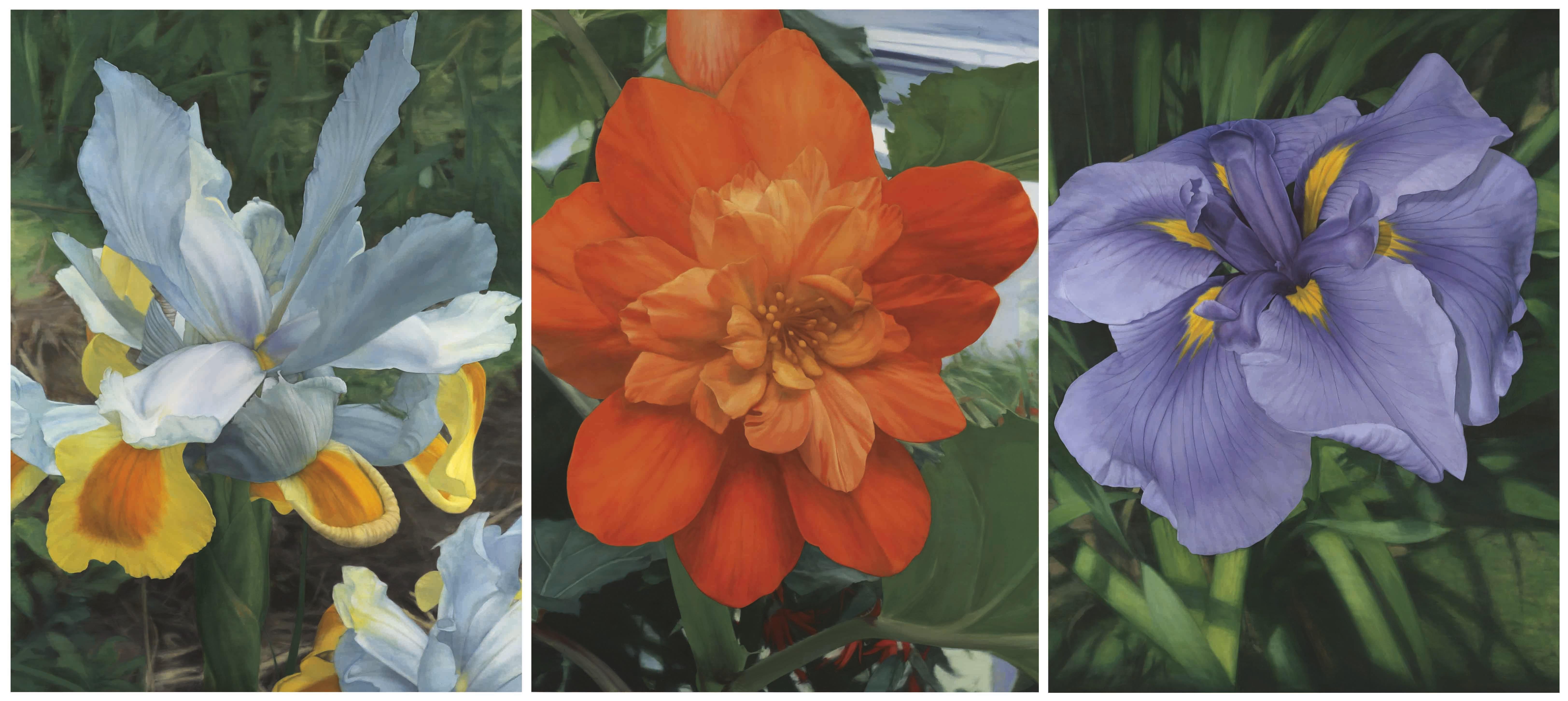 Satoshi Furui - Flowering