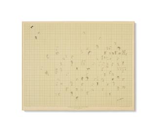 Saul Steinberg - Birds On Graph Paper