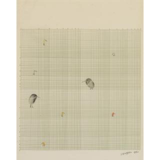 Saul Steinberg - Birds