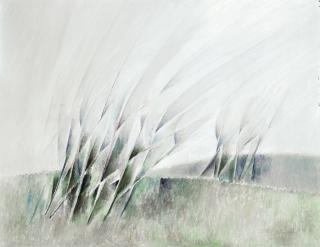 Sawasdi Tantisuk - Skyform