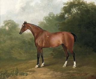 Sawrey Gilpin, R.A. - A Bay Horse In A Wooded Landscape
