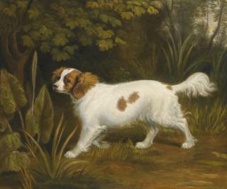 Sawrey Gilpin, R.A. - A Cavalier King Charles Spaniel In A Landscape