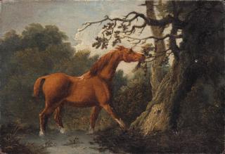 Sawrey Gilpin, R.A. - A Chestnut Horse