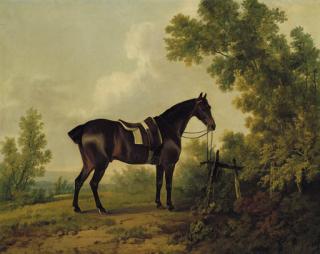 Sawrey Gilpin, R.A. - A Saddled Bay Hunter In A Wooded Landscape