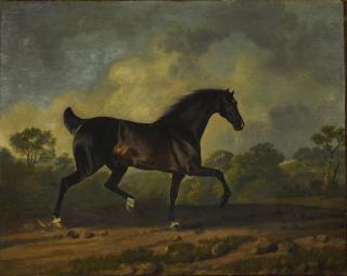 Sawrey Gilpin, R.A. - Horse Trotting