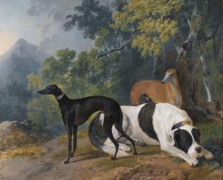 Sawrey Gilpin, R.A. - Two Greyhounds And A Mastif Belonging To The Duke Of Hamilton